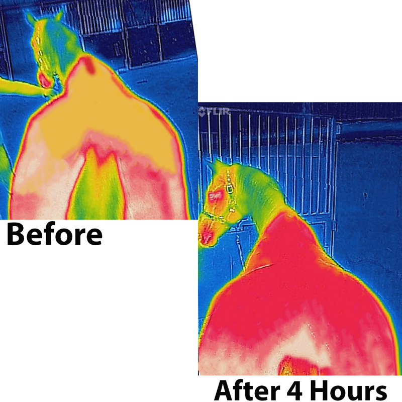 Bucas Therapy Cooler Big Neck - Navy/Orange-1