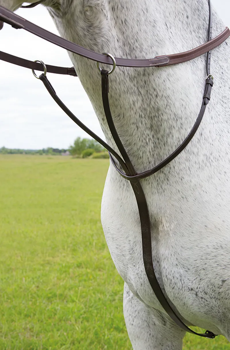 Shires Blenheim Running Martingale - Havana