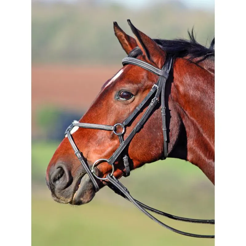 Shires Avignon Mexican Grackle Bridle - Black