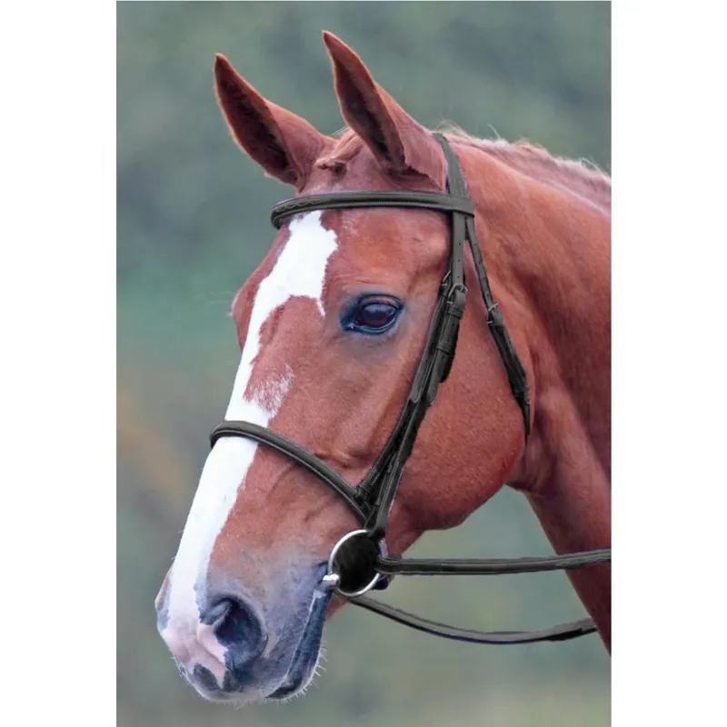 Shires Avignon Snaffle Bridle - Black 