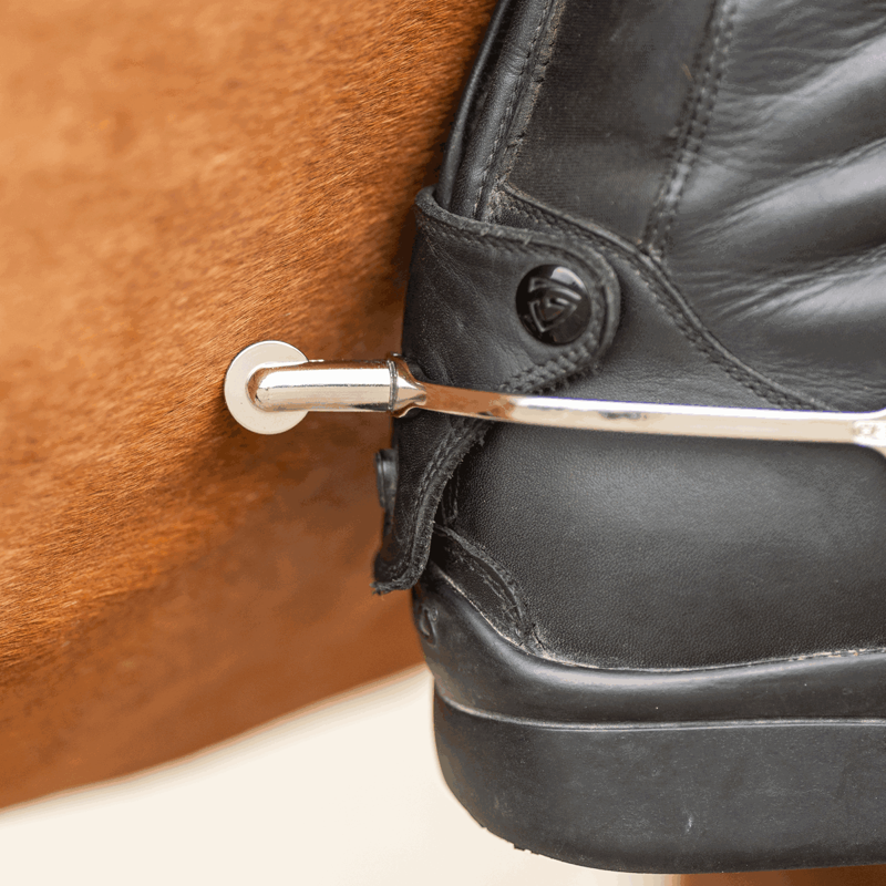 Sprenger Ultra Fit Slimline Rowel Spurs-2