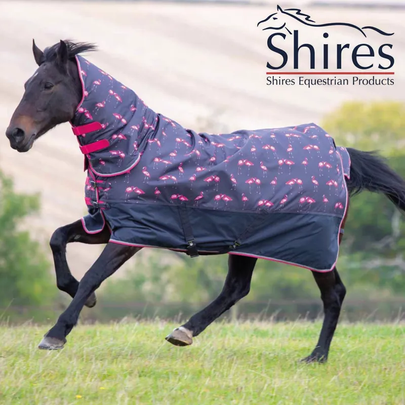 Shires Tempest Original 200 Combo Rug - Flamingo Print 