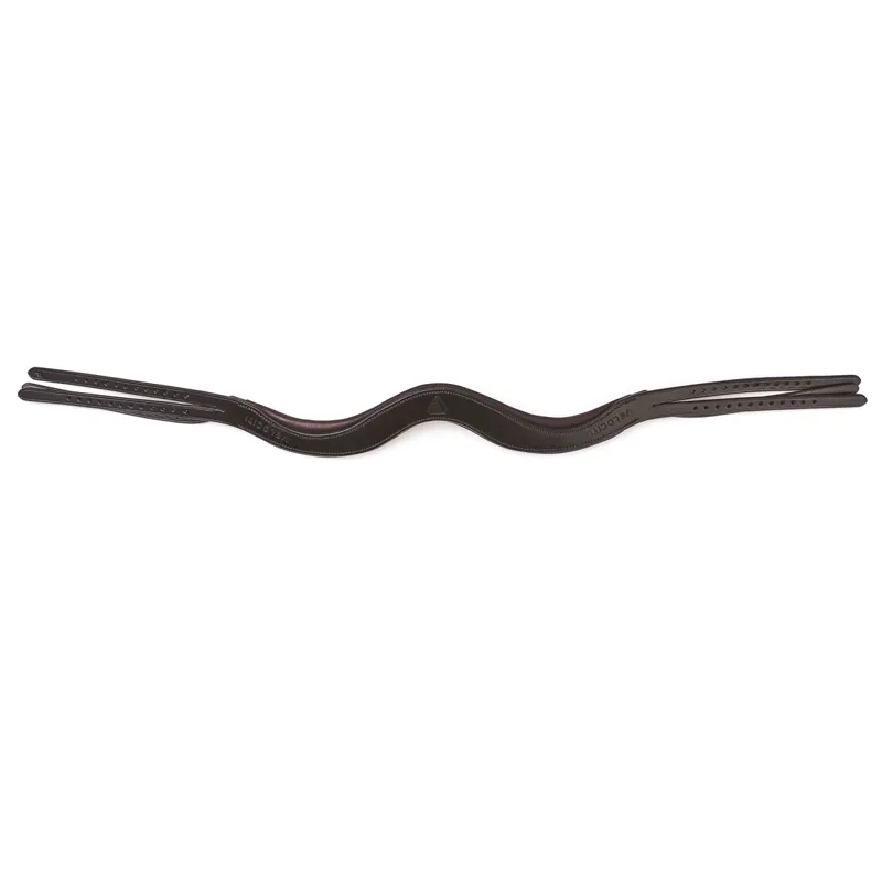 Shires Velociti RAPIDA EVO NL Headpiece - Havana