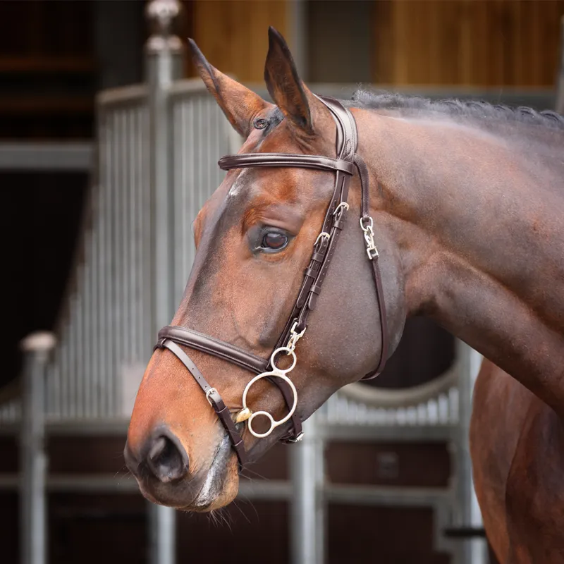 Shires Velociti Rapida Training Bridle - Havana