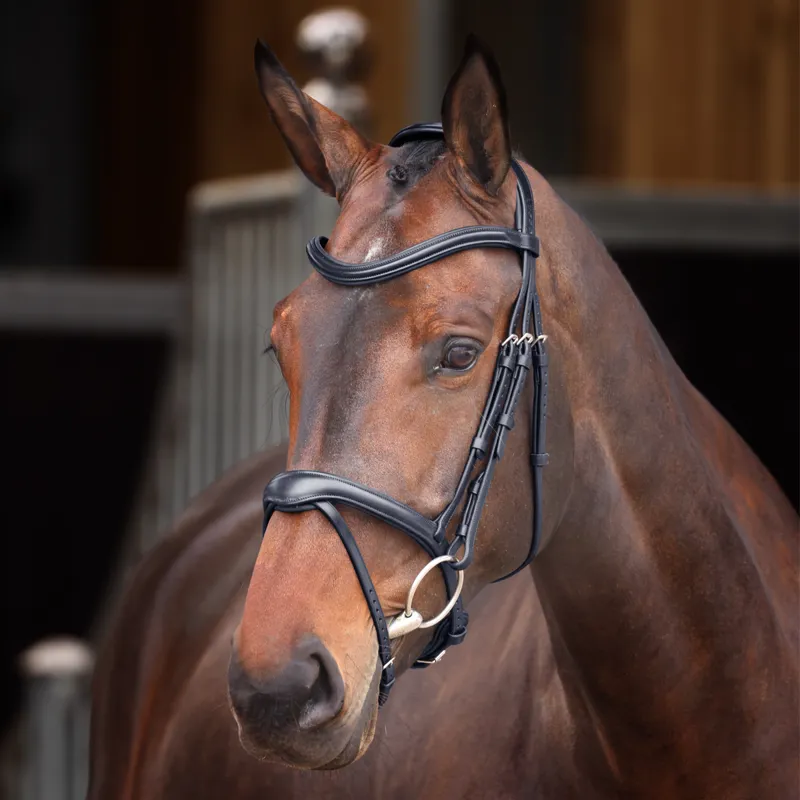 Shires Velociti Lusso Elite Flash Bridle - Black