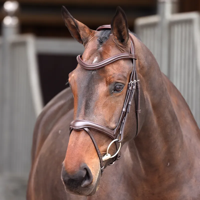 Shires Velociti Lusso Elite Flash Bridle - Havana