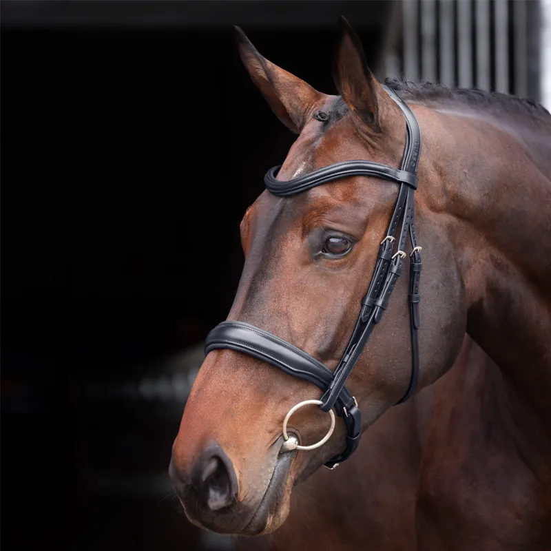 Shires Velociti Lusso Elite Padded Cavesson Bridle - Black