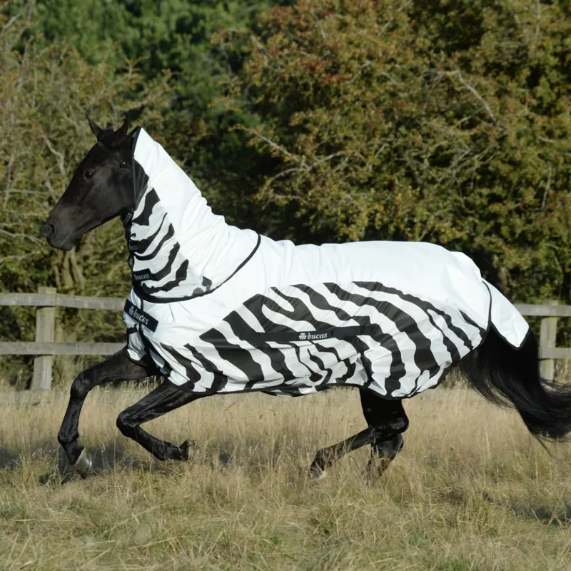 Bucas Buzz-off Rain Detachable Neck Waterproof Fly Rug - Zebra