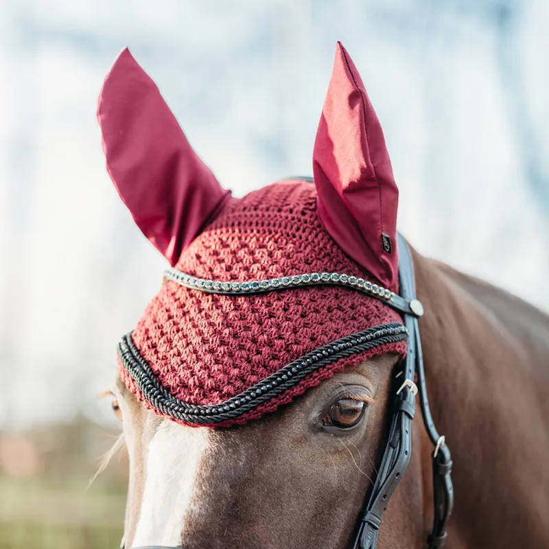 QHP Astana Ear Net - Raspberry-1