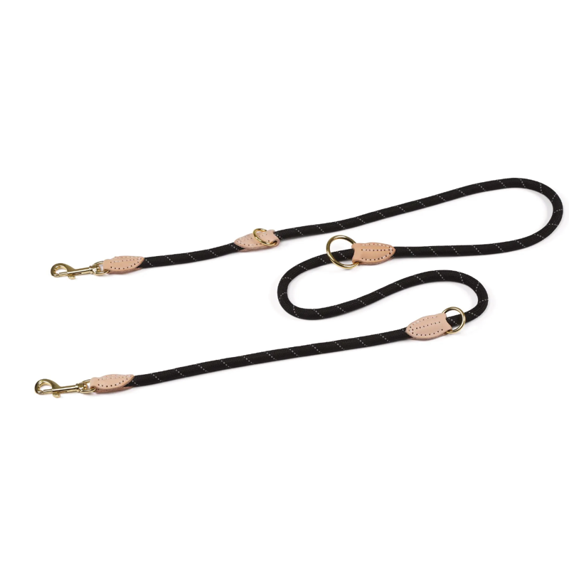 Digby and Fox Reflective Training lead-5