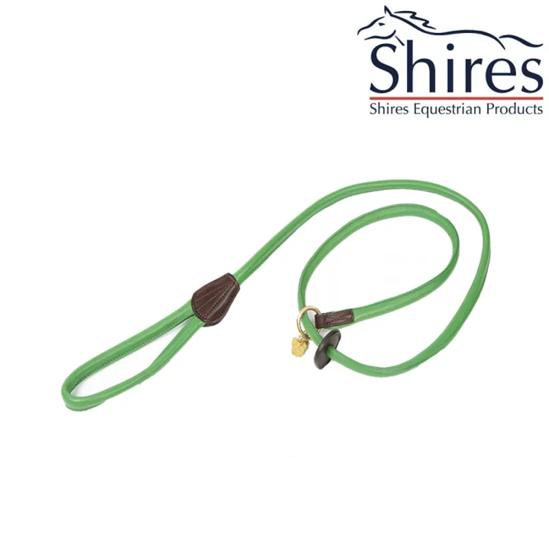Digby And Fox Rolled Leather Slip Lead - Green