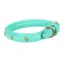 Shires Digby and Fox Star Dog Collar - Teal