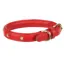 Shires Digby and Fox Star Dog Collar - Scarlett