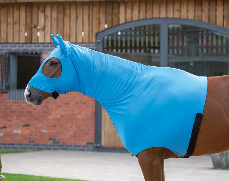 Shires Stretch Hood With Full Face