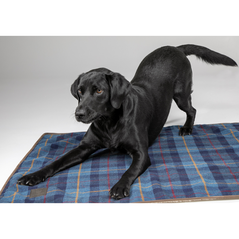 Shires Digby and Fox Tweed Blanket - Navy-1