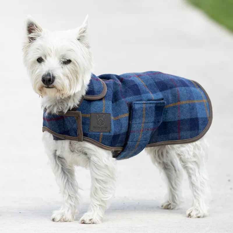 Shires Digby and Fox Tweed Dog Coat - Navy