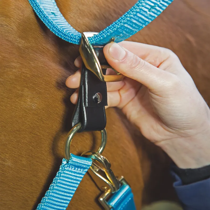 Shires Velociti GARA Headcollar Breakaway Attachment - Black