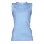 Aubrion Aerial Vest - Blue