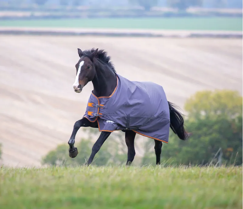 Tempest Original 200 Rug - Grey