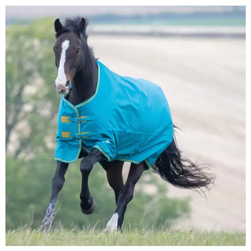 Shires Tempest Original 300 Turnout Rug - Teal