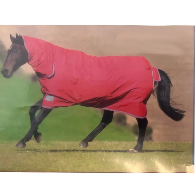 Shires Tempest 300 Combo Turnout Rug - Red/Blue