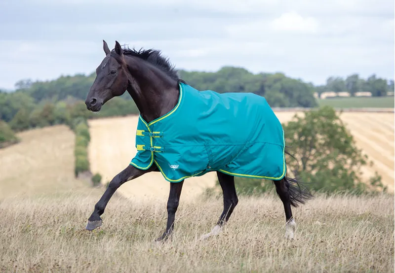 Tempest Original 50g Turnout Rug - Green/Lime