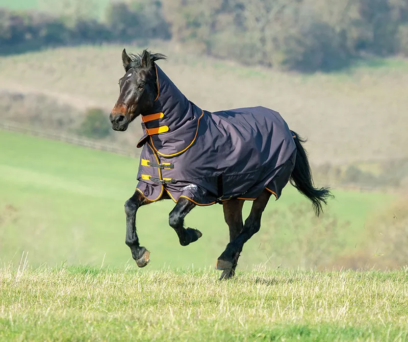 Shires Tempest Original 200 Rug and Neck Set - Black