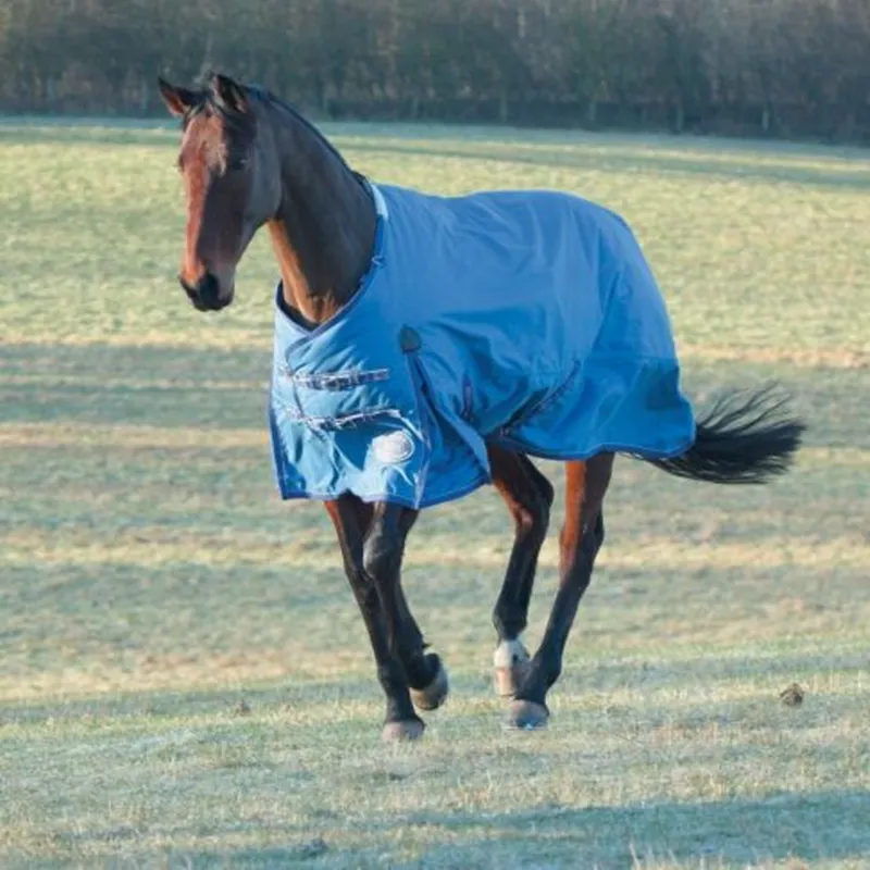Shires Winter Typhoon 220g Turnout Rug - Dark Navy