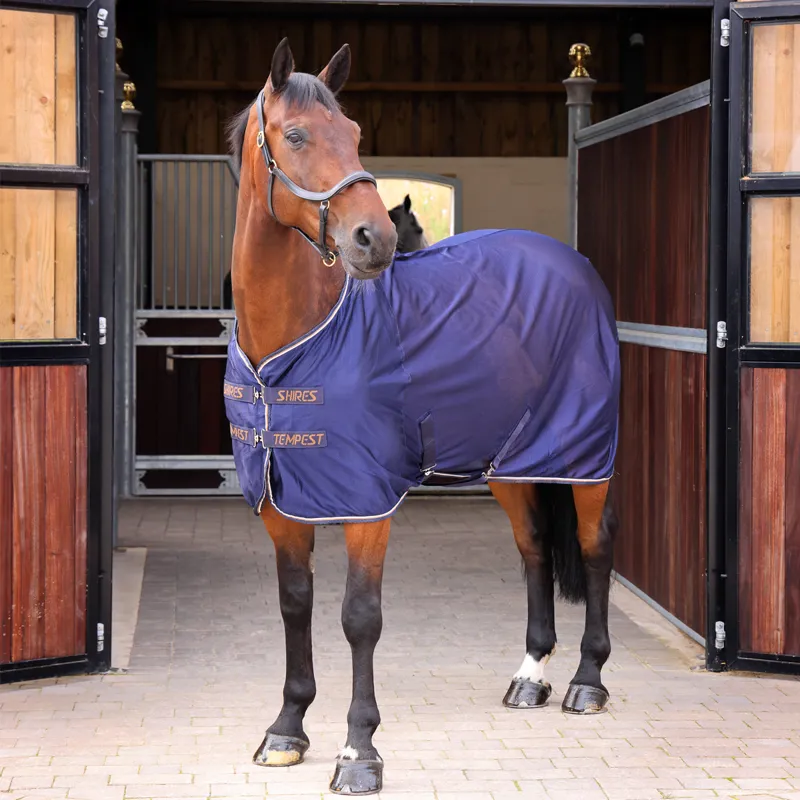 Shires Tempest Original Mesh Cooler Rug - Ink