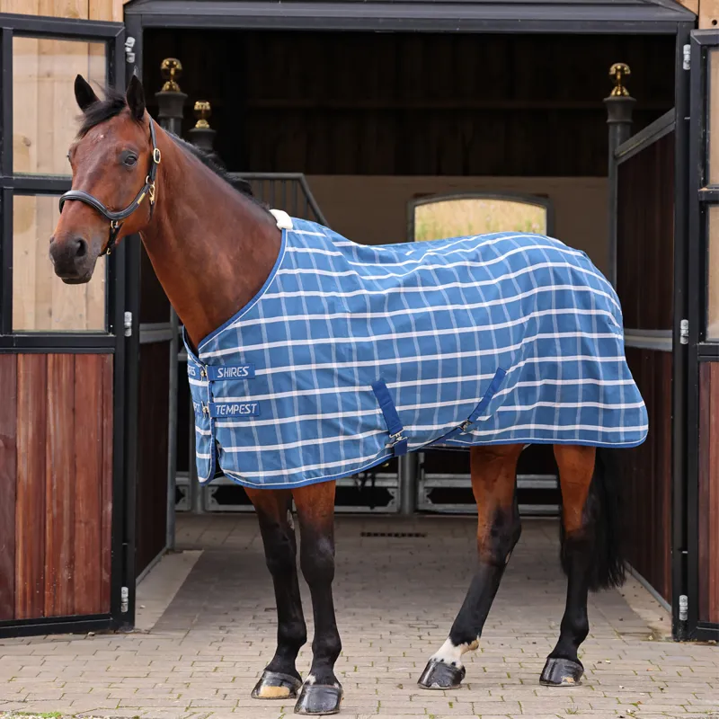 Shires Tempest Original Stable Sheet -Teal Check