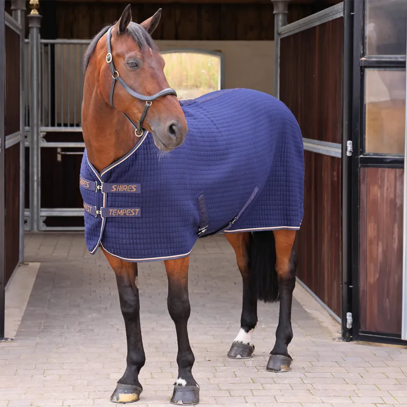 Shires Tempest Original Tech Cooler Rug - Ink