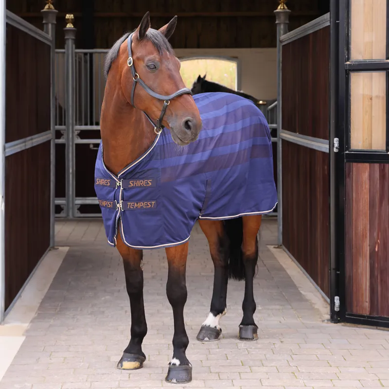 Shires Tempest Original Scrim Cooler Rug - Ink