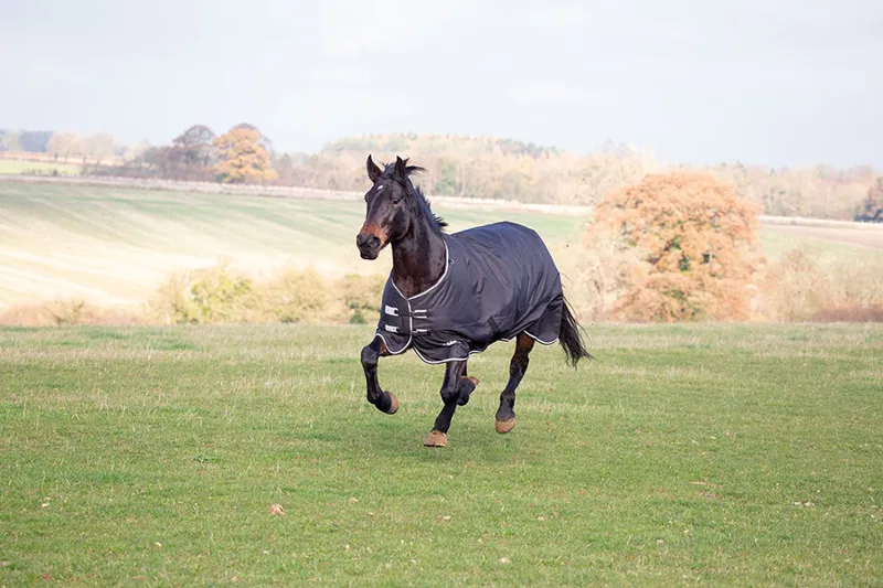 Shires Tempest Plus 300 Turnout Rug - Black