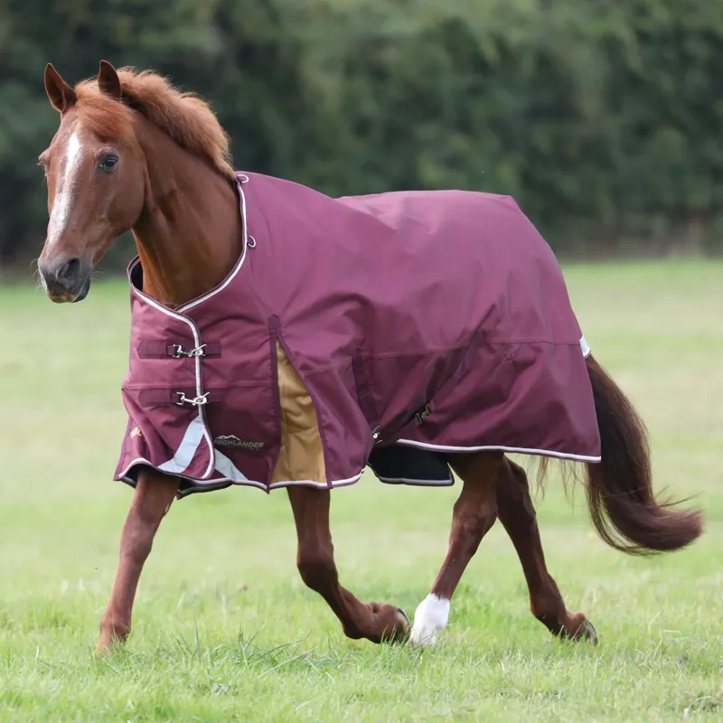 Shires Highlander Plus 100 Turnout Rug - Maroon