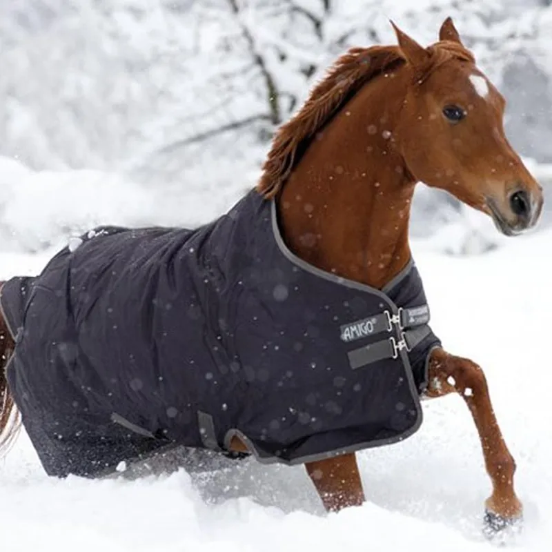 Horseware Amigo Pony Hero 6 Medium 200g Turnout Rug - Excalibur