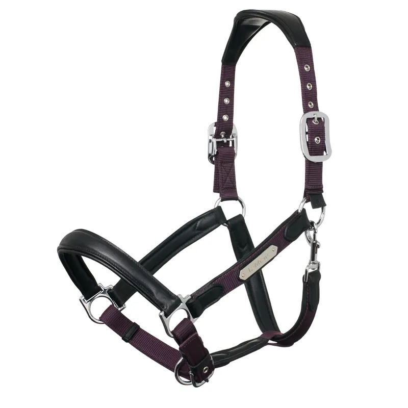 LeMieux Capella Headcollar - Fig