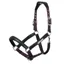 LeMieux Capella Headcollar - Fig