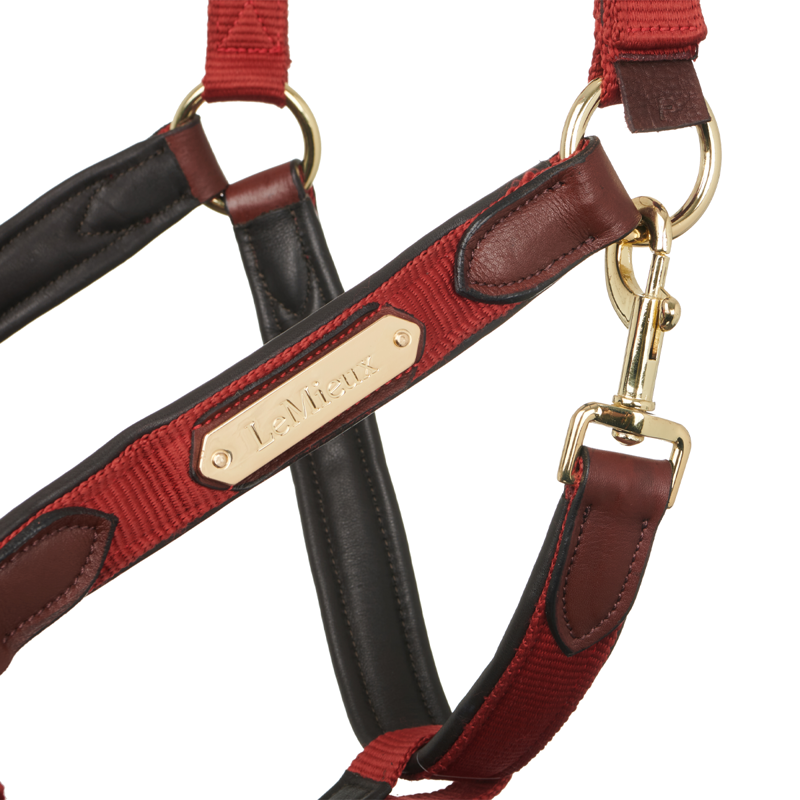 LeMieux Capella Headcollar - Sienna-4