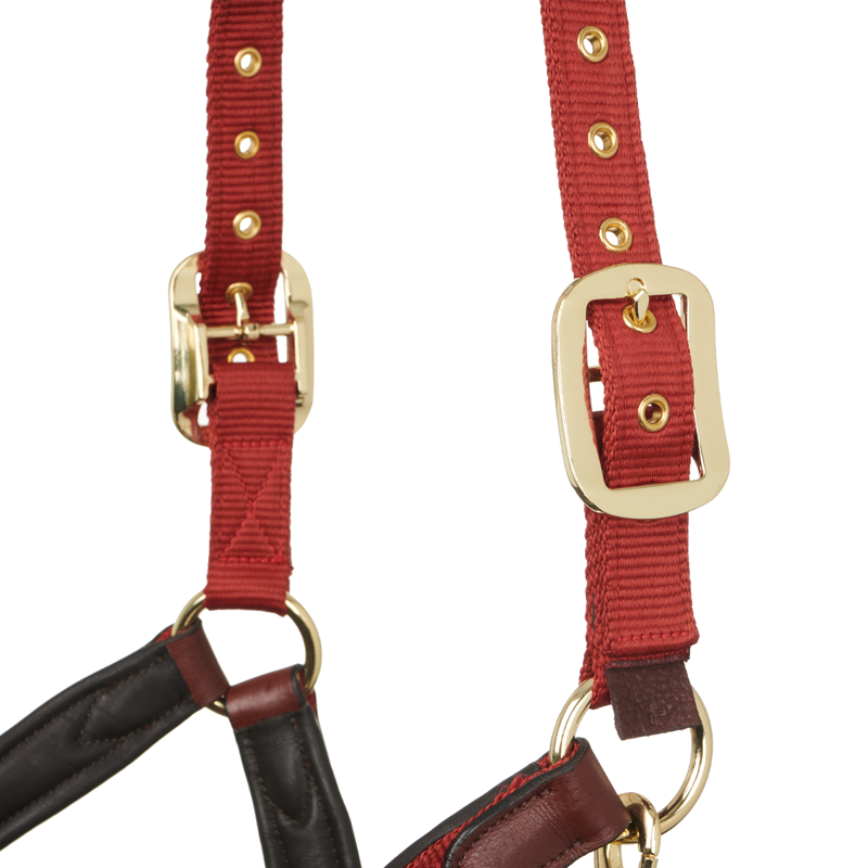 LeMieux Capella Headcollar - Sienna-5