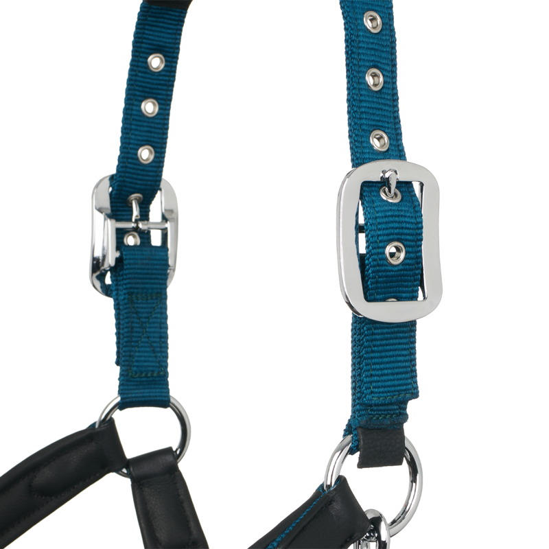 LeMieux Capella Headcollar - Marine-1