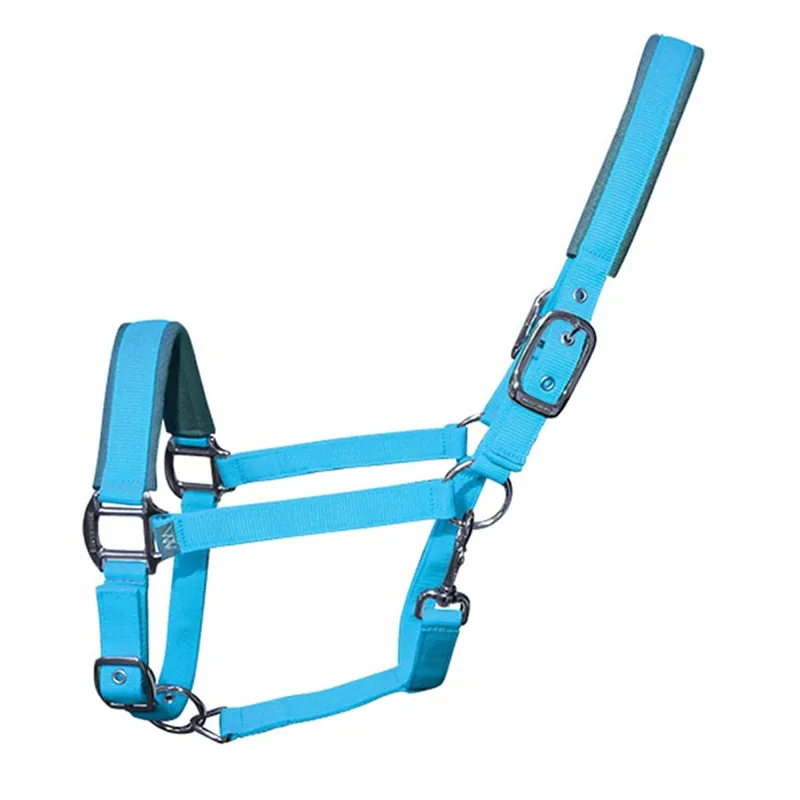 Woof Wear Contour Headcollar - Turquoise