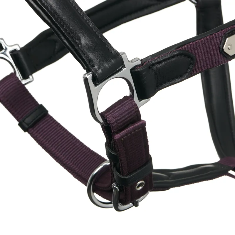 LeMieux Capella Headcollar - Fig-1