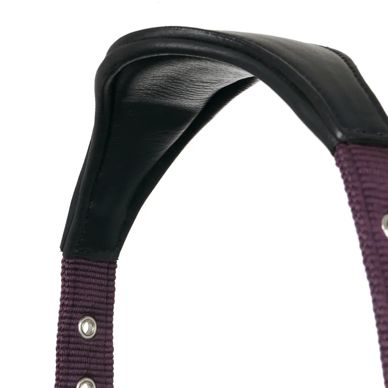 LeMieux Capella Headcollar - Fig-3