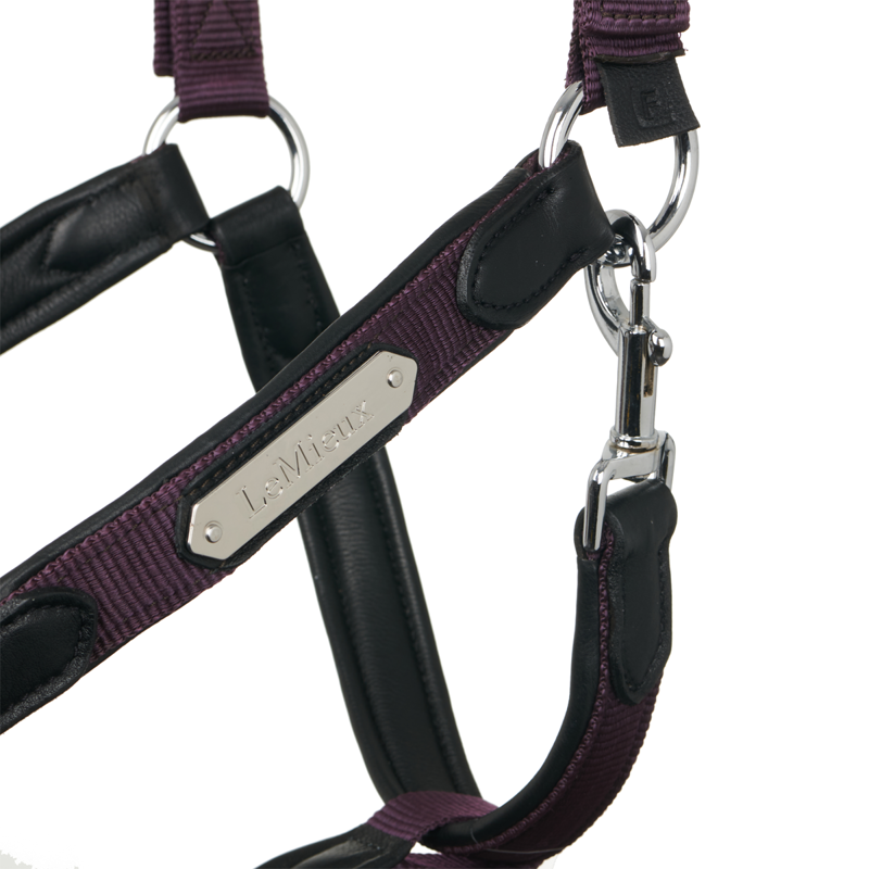 LeMieux Capella Headcollar - Fig-4