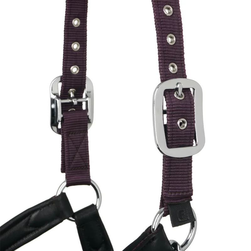 LeMieux Capella Headcollar - Fig-5