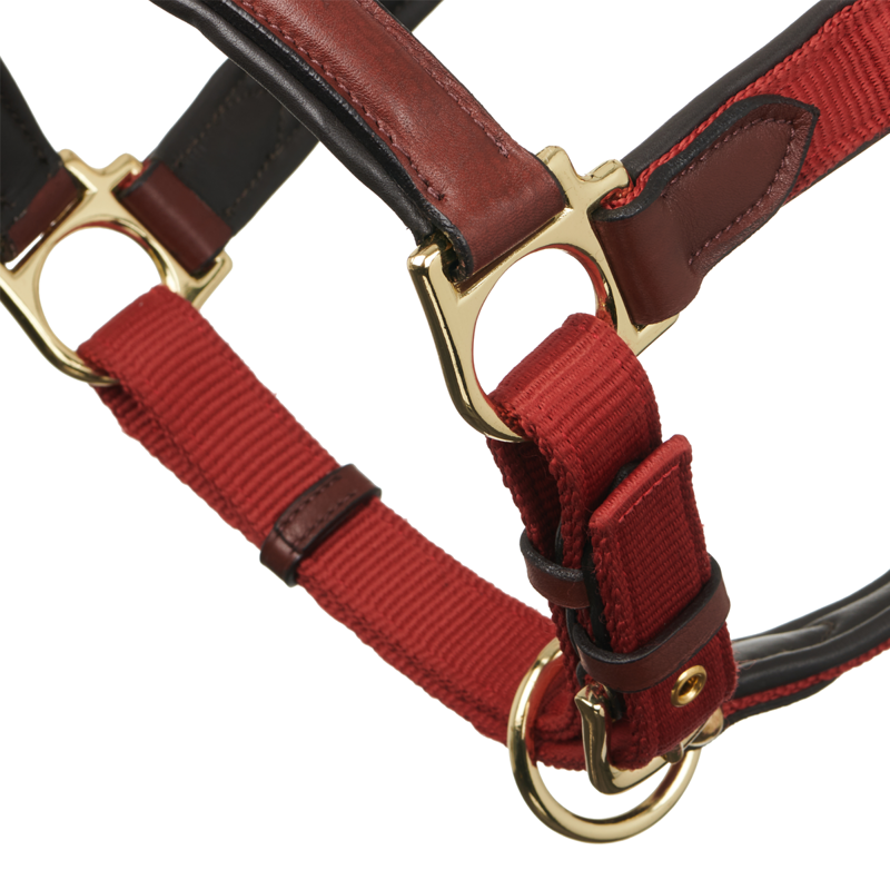 LeMieux Capella Headcollar - Sienna-1