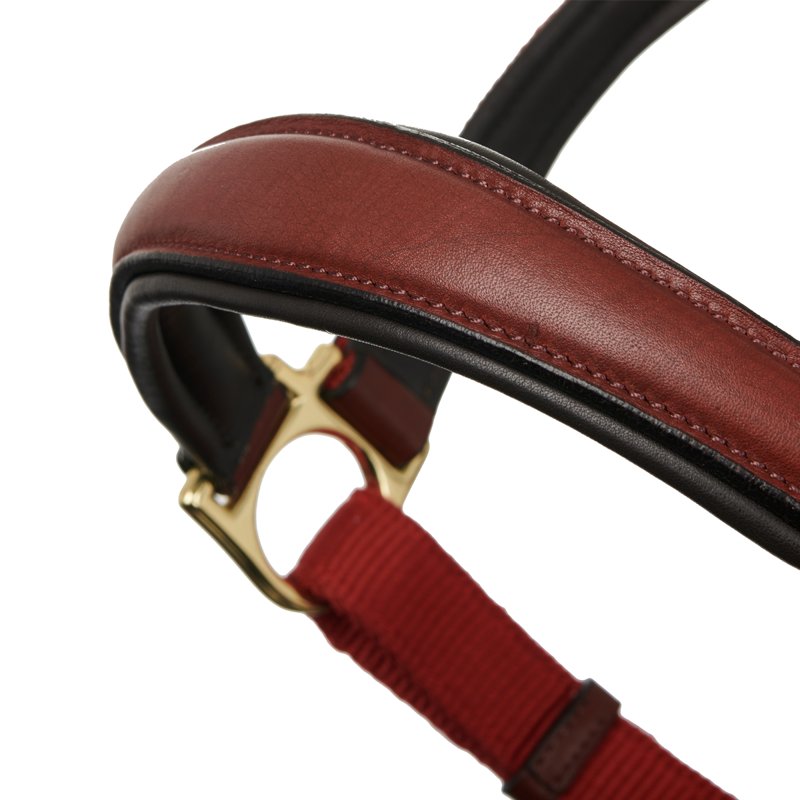 LeMieux Capella Headcollar - Sienna-2