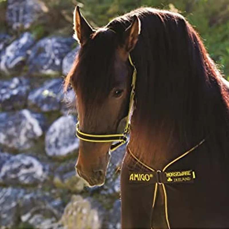 Horseware Amigo Headcollar - Chocolate/Lime