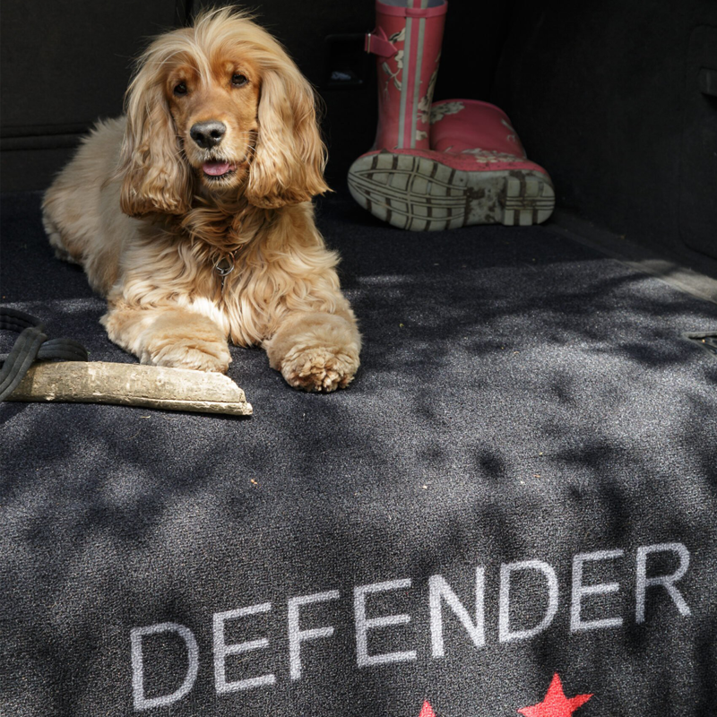 Pet Rebellion Defender Mat-1