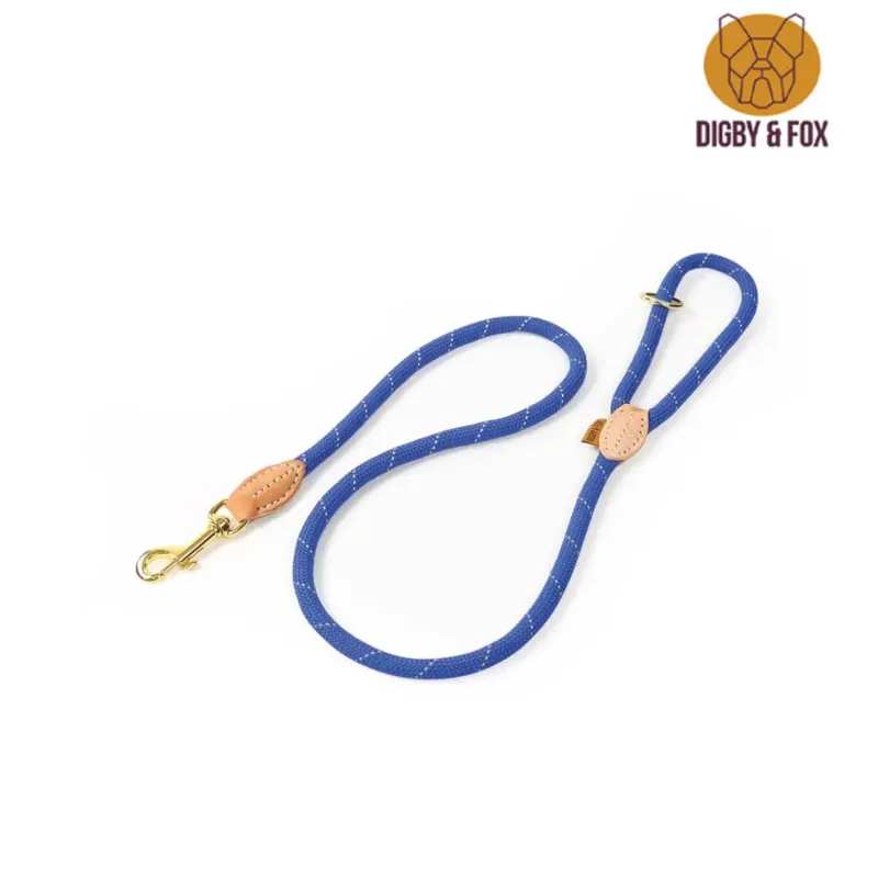 Digby and Fox Reflective Lead - Blue